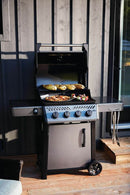 Napoleon FREESTYLE 425 Gas Grill