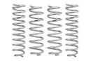Photo - Close Up